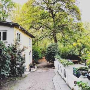 Location Empfehlung Alsterpark - Hochzeit - Geburtstag